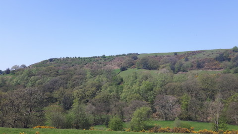 7May18Ridge